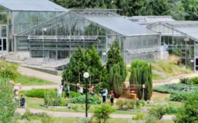 Sortie pédagogique au jardin botanique