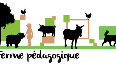 Sortie à la ferme pour les élèves de GS et CP