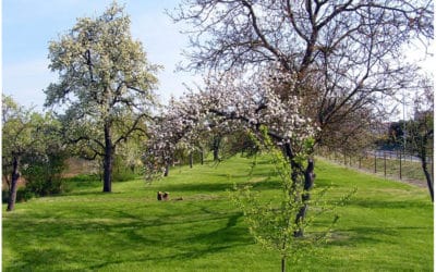 Sortie au Jardin Roussel