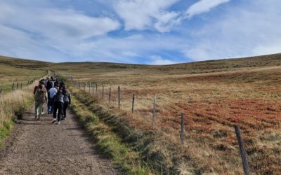 Voyage en Auvergne